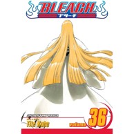 Bleach vol. 36