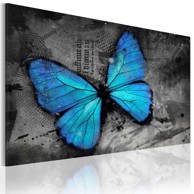Slika The study of butterfly 120x80