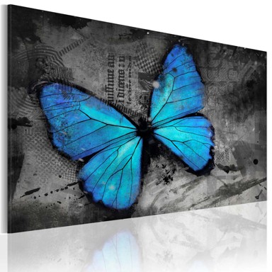 Slika The study of butterfly 120x80