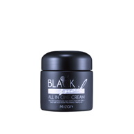 MIZON Krema za lice Black Snail All In One Cream 75 ml