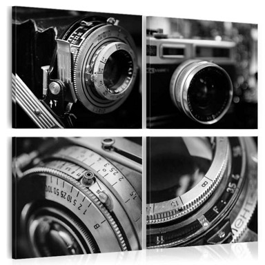 Slika Vintage Cameras 80x80