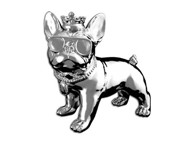 iDANCE Zvučnik Funky Bull, 20W, FM radio, BT, srebrni