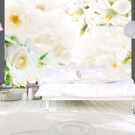 Foto tapeta White sigh 250x175