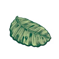 FOUTASTIC Zelena kupaonska prostirka 60x100 cm Sheet