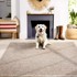 AYYILDIZ CARPETS Vanjski tepih Zagora 120x170 cm, bež