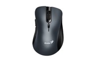 GENIUS Ergonomski bežični miš Ergo 8100S, titan