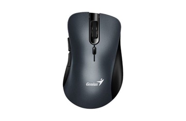 GENIUS Ergonomski bežični miš Ergo 8100S, titan
