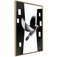 Poster Caught in Flight 20x30