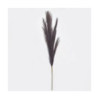 Rezano cvijeće, Grana pampas, 110 cm