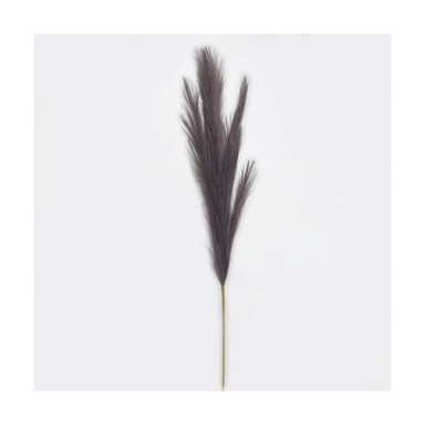 Rezano cvijeće, Grana pampas, 110 cm