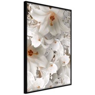 Poster Floras Mess 20x30