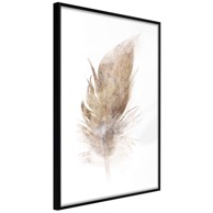 Poster Lost Feather (Beige) 40x60