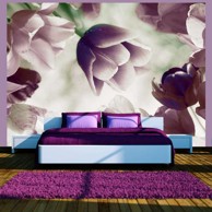 Foto tapeta Heavenly tulips 200x154