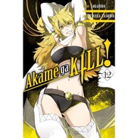 Akame ga KILL! vol. 12