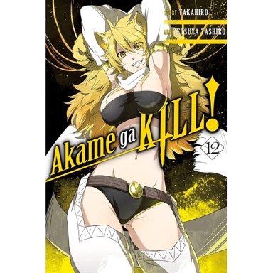 Akame ga KILL! vol. 12