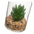 CASA SELECCION Umjetne biljke u setu 4 kom Cactus, visina 12 cm  