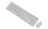 GEMBIRD Set miš i tipkovnica KBS-WPS-01 Slim Pro Business, bežično, US, bijela