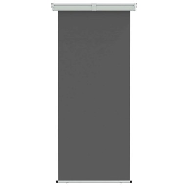 Balkonski bočni awning, 85 x 250 cm, 100% poliester, željezo i čelik, antracit