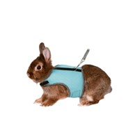 TRIXIE Mekana oprsnica za kunića