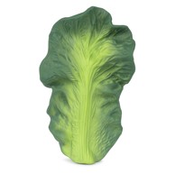 OLI & CAROL Grizalo žvakalica, kelj kendall, OC-KK