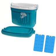 Torba za hlađenje Iceberg, 8 L, tvrda, tirkizna, 2 rashladna uloška