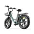 ELETRONBIKE Električni bicikl OD20, zelena