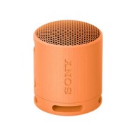 SONY Bluetooth zvučnik SRSXB100D.CE7
