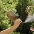 GARDENA Vrtna prskalica 1 l