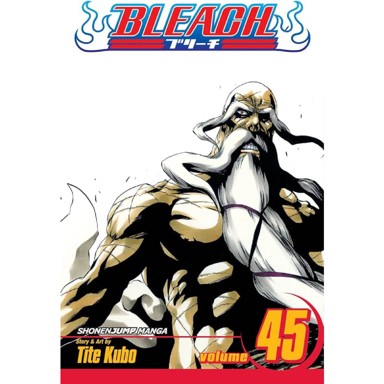Bleach vol. 45