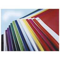 LEITZ Fascikl s euro mehanikom pvc A4 41910101, bijeli