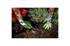 STALCO Veslo široko S105610000 XTR GARDEN