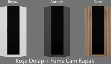 Ormar za odjeću, Kale Glass Dark Grey Oak, 210