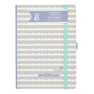 BUSY B Dnevnik trudnoće