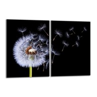 TMK Staklena zaštita za štednjak ili ploču za kuhanje iz dva dijela 40x52, cvijet