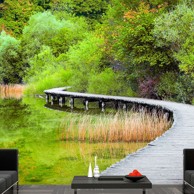 Samoljepljiva foto tapeta Beautiful green 294x210