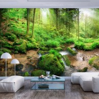 Foto tapeta Humid Forest 300x210