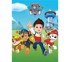 Paw Patrol dekica za djecu od flisa 100 x 140 cm