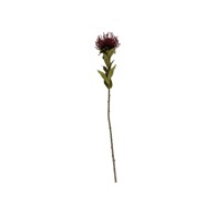 PT LIVING Umjetna biljka Protea, visina 60 cm