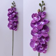 Rezano cvijeće Grana orhideje 104 cm