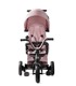 KINDERKRAFT Tricikl Easytwist, rozi