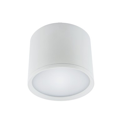 LED Stropna svjetiljka Rolen, 10W, 4000K, bijela