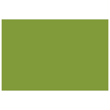 KNORR PRANDELL Ukrasni filc 21-8436436, A4, 10 kom, svijetlo zelena