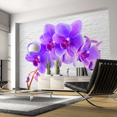 Foto tapeta Violet excitation 400x280