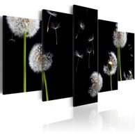 Slika Dandelion- towards freedom 200x100
