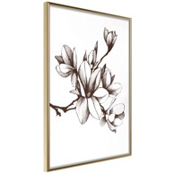 Poster Fragrant Decoration 20x30