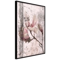 Poster Queen of Spring Flowers III 20x30
