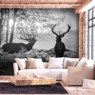 Foto tapeta Deers in the Morning 450x315