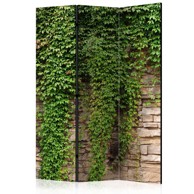 Sobna pregrada u 3 dijela Ivy wall 135x172