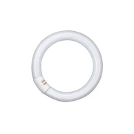 OSRAM Fluo cijev okrugla 22w g10q 865 osram