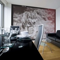 Foto tapeta wolf photo 200x154